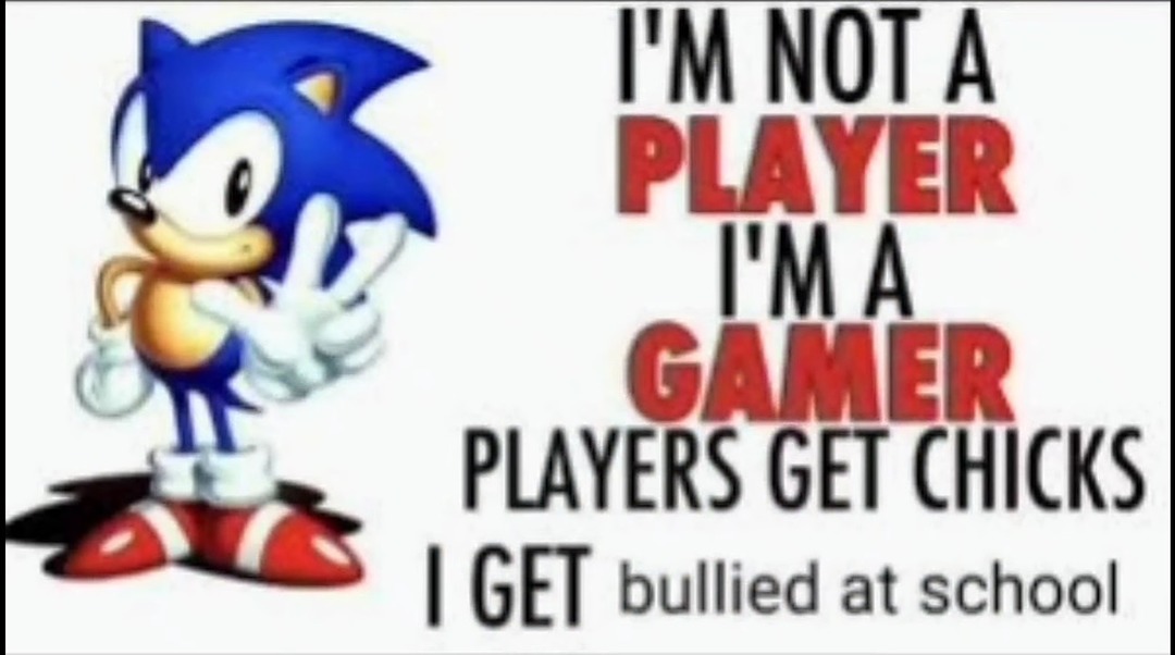 sonic meme